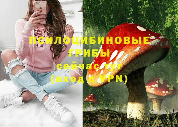 mdpv Балахна
