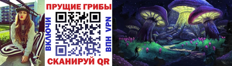 даркнет телеграм Верея Галлюциногенные грибы мухоморы